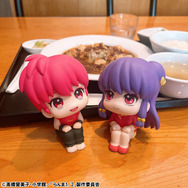 るかっぷ TVアニメ「らんま1/2」 らんま＆シャンプ― セット【限定座布団付き】