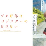 「青春ブタ野郎」シリーズ（C）2022 鴨志田 一/KADOKAWA/青ブタ Project