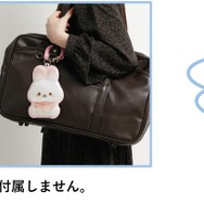 サンエックス「ぬいフォトシリーズ ダイカットパスケース」（C）2025 SAN-X CO., LTD. ALL RIGHTS RESERVED.