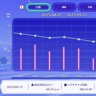 『ディズニー ミラネス フィットネス』