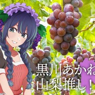 「日本全国project【47都道府県の子】」山梨県