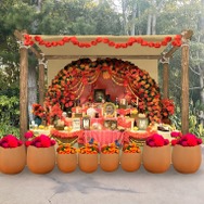 ミゲルも登場！東京ディズニーシー、ディズニー＆ピクサー映画『リメンバー・ミー』の世界がテーマの「ラソス・デ・ラ・ファミリア」初開催！