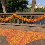 ミゲルも登場！東京ディズニーシー、ディズニー＆ピクサー映画『リメンバー・ミー』の世界がテーマの「ラソス・デ・ラ・ファミリア」初開催！