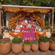 ミゲルも登場！東京ディズニーシー、ディズニー＆ピクサー映画『リメンバー・ミー』の世界がテーマの「ラソス・デ・ラ・ファミリア」初開催！