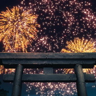 オリジナルアニメ映画『ホウセンカ』