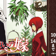 『魔法使いの嫁』全話無料公開キャンペーン