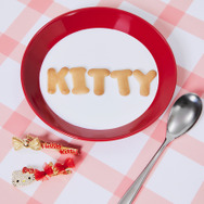 【HELLO KITTY】ヘアピンセット