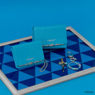 【イグニハイド寮】