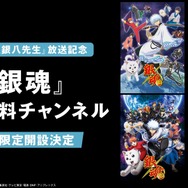 「ABEMA」『銀魂』公式無料チャンネル（C）空知英秋／集英社･テレビ東京･電通･BNP（C）空知英秋／集英社･テレビ東京･電通･BNP･アニプレックス