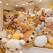 サンエックスさんのショールームにて