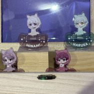 『16 STAR SIGNS』2025 Birthday Store