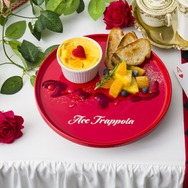 ＜エース・トラッポラ＞オレンジクラフティ　