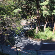 『耳をすませば』聖地・聖蹟桜ヶ丘