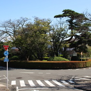 『耳をすませば』聖地・聖蹟桜ヶ丘