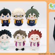 もちもちもちマスコットたっち ハイキュー!! vol.1