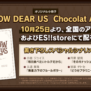 MELLOW DEAR US小冊子配布