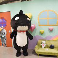 展覧会『教育番組 もっと！げんじつポップアップ』の様子