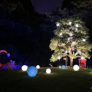 「藤子・F・不二雄ミュージアム クリスマスはミュージアムで！2025」3階・はらっぱのクリスタルツリー（C）Fujiko-Pro