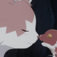 TVアニメ『猫と竜』ティザーPV