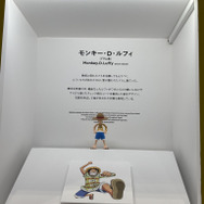 「TAMASHII NATION 2025」実物フィギュア