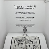 「TAMASHII NATION 2025」実物フィギュア