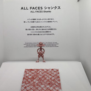 「TAMASHII NATION 2025」実物フィギュア