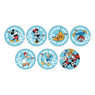 ビッグ缶バッジ（ランダム7種）　　税込880円