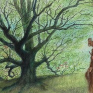 『木を植えた男』