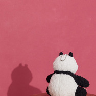 「らんま1/2」これで乱馬になれる!? チャイナモチーフのジャケット、シャツ、アクセサリー登場♪ earth music＆ecology Japan Labelコラボ