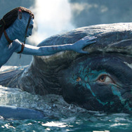 『アバター：ウェイ・オブ・ウォーター』（C）2022 20th Century Studios. All Rights Reserved.