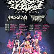 『もめんたりー・リリィ』OP担当！　花冷え。過去最大規模の欧州ツアー成功 17都市でソールドアウト、新作EP発表