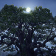 「クスノキの番人」新規場面写真