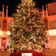 上戸彩がジュディ＆ニックとサプライズ登場！東京ディズニーランドでスペシャルグリーティング開催