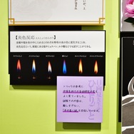 『薬屋のひとりごと』原作展