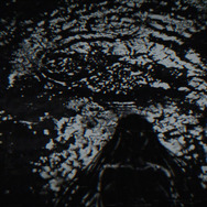 『令和のダラさん』特報映像