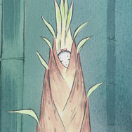 『かぐや姫の物語』