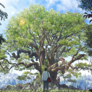 「クスノキの番人」新規場面写真