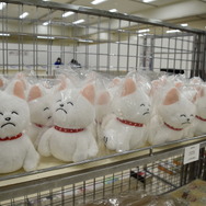 「ー画業55周年記念ー　あだち充展」