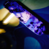 「ジョジョの奇妙な冒険 スターダストクルセイダース」府限定ボード