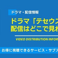 テセウスの船 配信情報