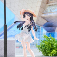 「俺の妹がこんなに可愛いわけがない。 黒猫(五更瑠璃) 白猫Ver. ぬいぐるみ セット 1/6スケール 完成品フィギュア」