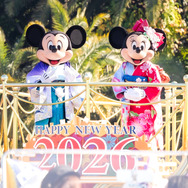 【日本未発売】WDW 2026 ミッキー＆ミニー EAResistibles 日本未発売】WDW 2026 ミッキー＆ミニー EAResistibles 日本未発売