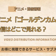 ゴールデンカムイ最終章　配信情報