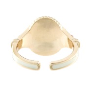 「葬送のフリーレン アイコニック ストーリー リングオブジェ」