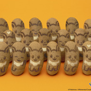 イーブイ東京ばな奈「見ぃつけたっ」キャラメルモフアート味