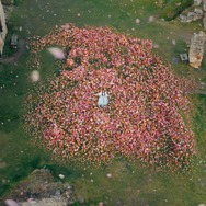 MV「「The Story of Us」場面写真