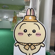 『ちいぽけ』初公式グッズ発売ポップアップイベント初日の様子