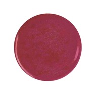 ナゴヤ・ディビジョン[PP]