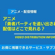 勇者パーティを追い出された器用貧乏 配信状況