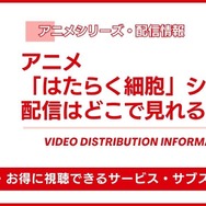 アニメ「はたらく細胞」シリーズ 配信情報